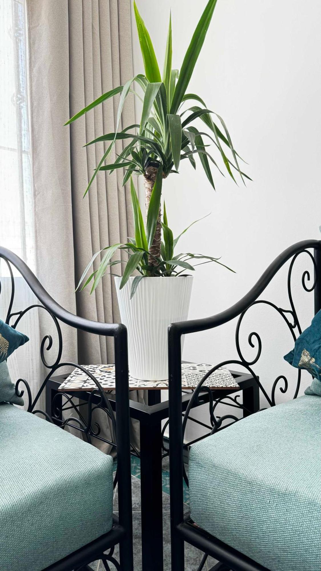 Calays Tu Hogar Junto Al Mar Lägenhet Tanger Exteriör bild